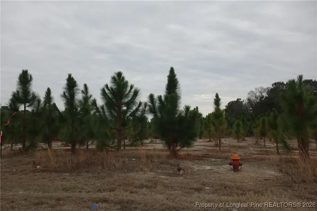 $34,999 | Lot 32 Stuarts Mill Road, Fairmont, NC 28340