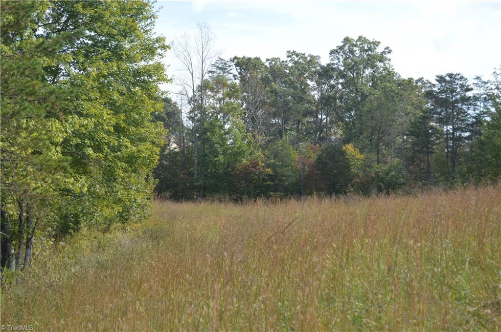 Xxx West Old Phillips Road Pinnacle, NC 27043 - Photo 3 of 12