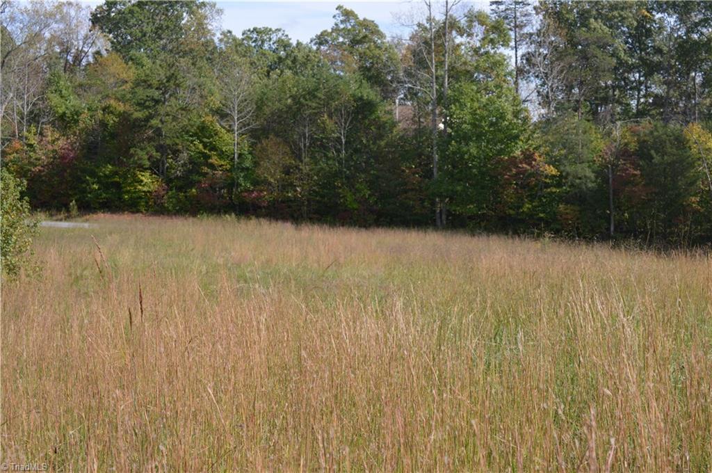 Xxx West Old Phillips Road Pinnacle, NC 27043 - Photo 4 of 12