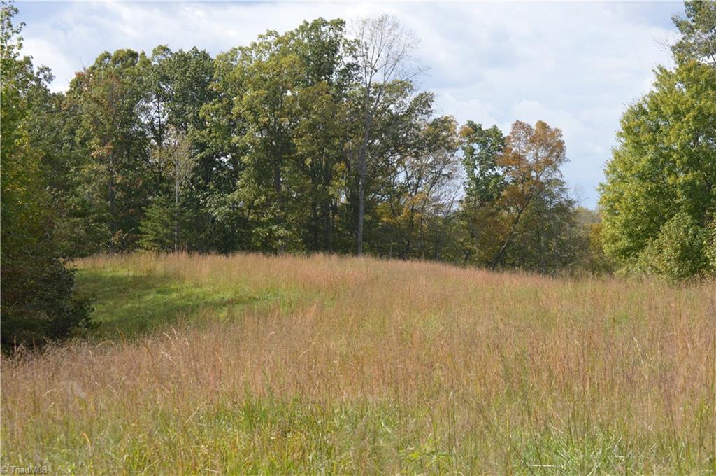 Xxx West Old Phillips Road Pinnacle, NC 27043 - Photo 5 of 12