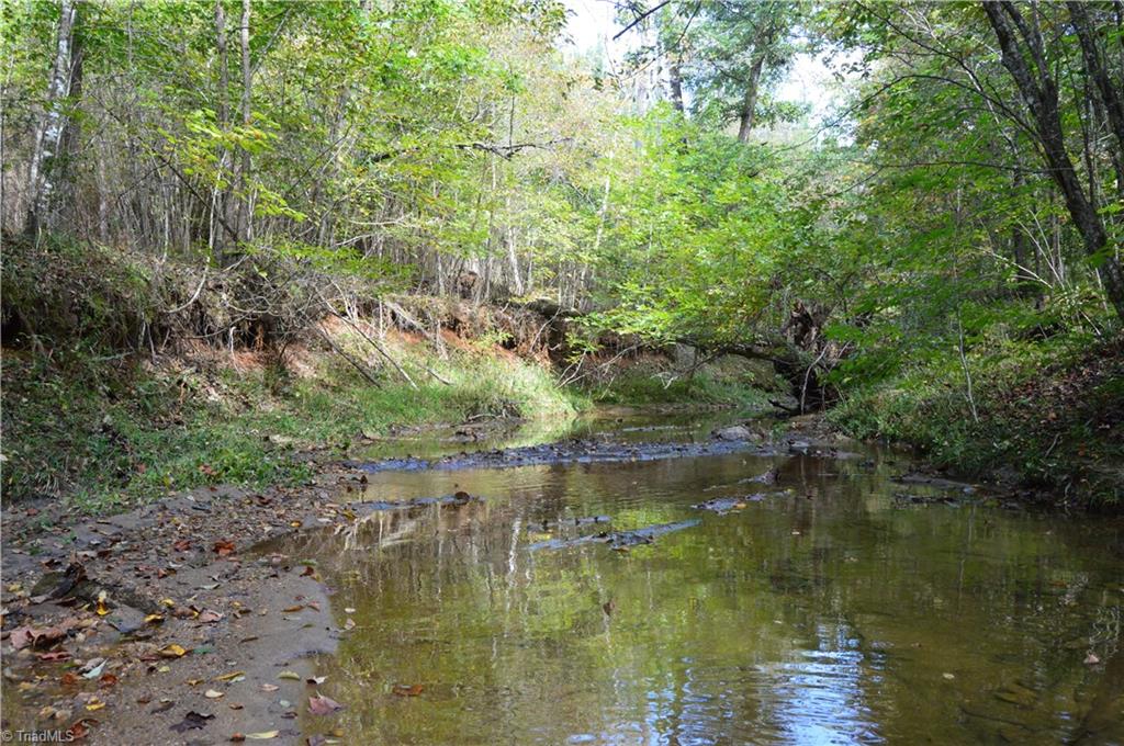 Xxx West Old Phillips Road Pinnacle, NC 27043 - Photo 6 of 12