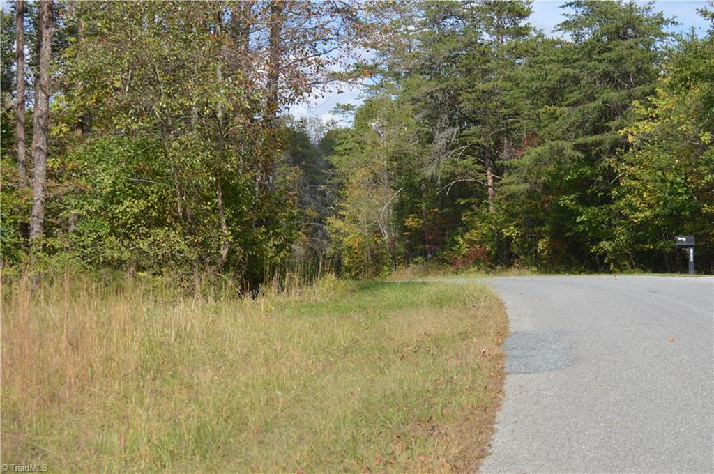 Xxx West Old Phillips Road Pinnacle, NC 27043 - Photo 7 of 12
