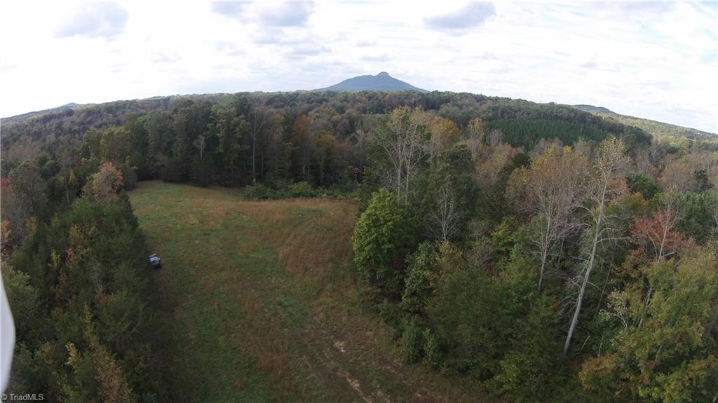 Xxx West Old Phillips Road Pinnacle, NC 27043 - Photo 8 of 12