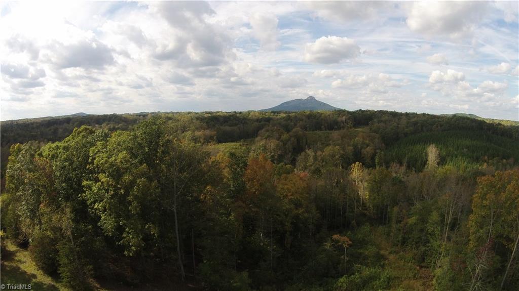 Xxx West Old Phillips Road Pinnacle, NC 27043 - Photo 9 of 12