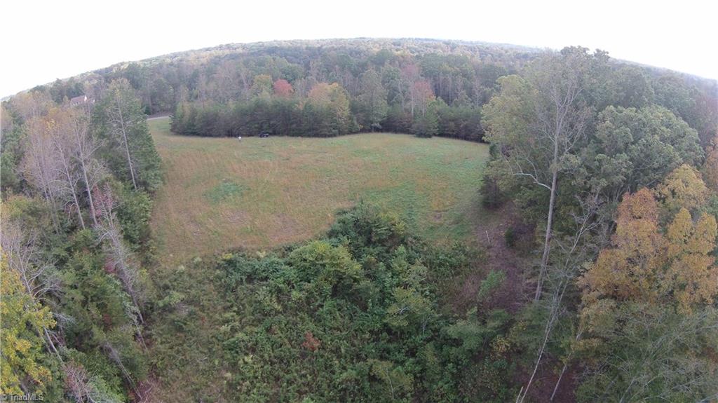 Xxx West Old Phillips Road Pinnacle, NC 27043 - Photo 10 of 12
