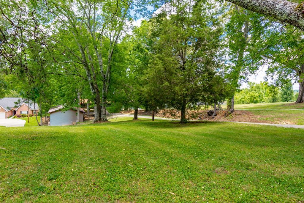 953 Ewing Road Spring City, TN 37381 - Photo 64 of 74 64