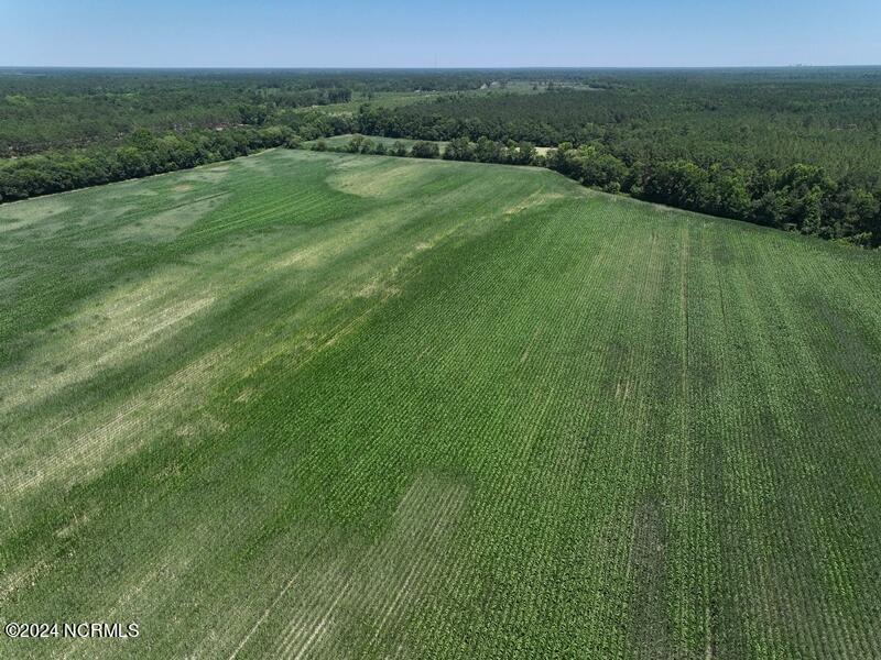 Tbd Natmore Road Kelly, NC 28448 - Photo 4 of 16 dji_fly_20240615_150622_0052_17184919932