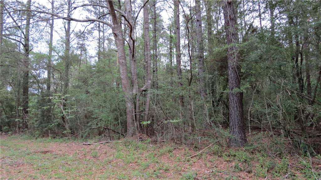 0 Camus Lane Covington, LA 70435 - Photo 1 of 7