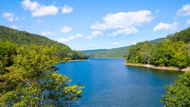Skip Gray Road Delancey, NY 13752 - Photo 6 of 7 Pepacton Reservoir