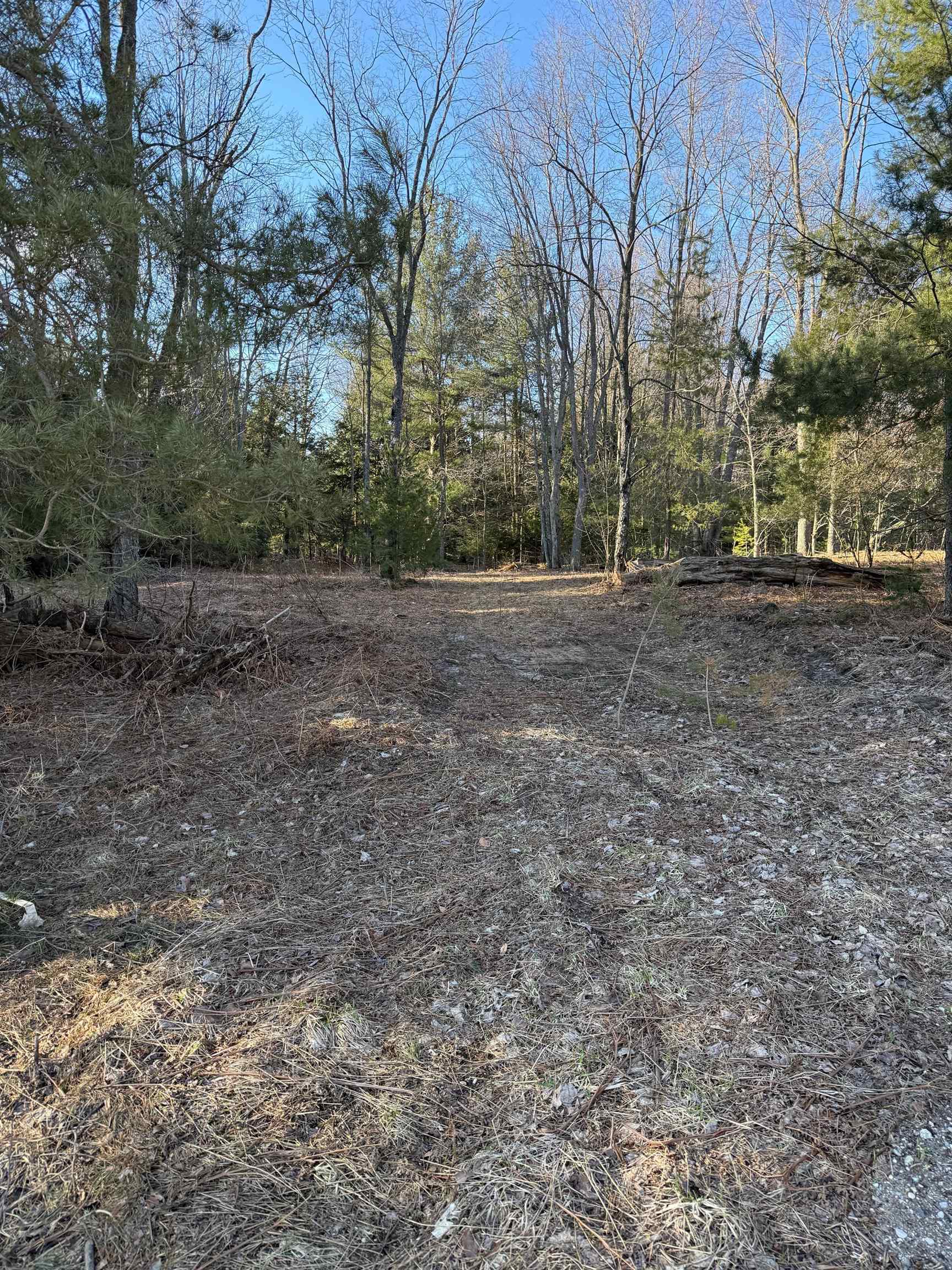 0 Demerly Road Benzonia, MI 49616 - Photo 3 of 6