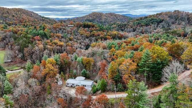 318 Tyler Ridge Road Murphy, NC 28906 - Photo 58 of 59