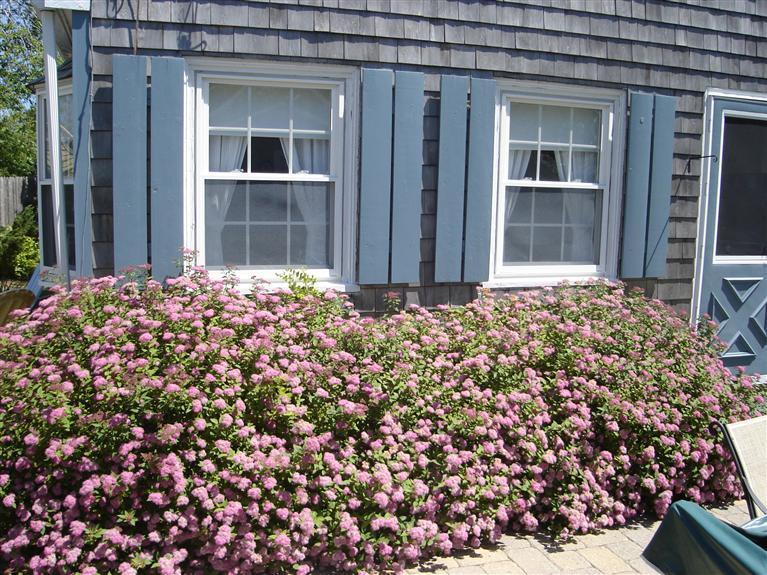 220 Shad Hole Road Dennis Port, MA 02639 - Photo 12 of 20 Additional Photo
