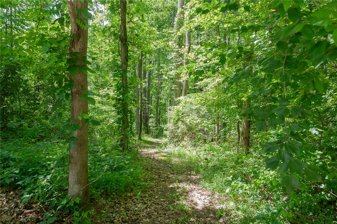606 Mountain View Road Williamston, SC 29697 - Photo 45 of 48 A tranquil path winds through the woods.