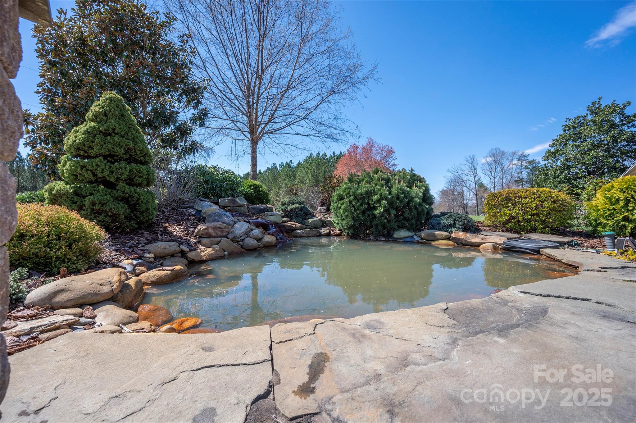 1120 Fred Merritt Road King, NC 27021 - Photo 3 of 45 a view of swimming pool with outdoor seating and plants