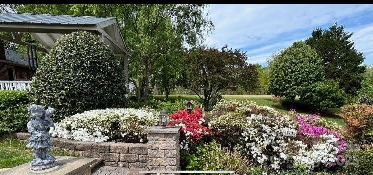 1120 Fred Merritt Road King, NC 27021 - Photo 45 of 45 a view of a garden