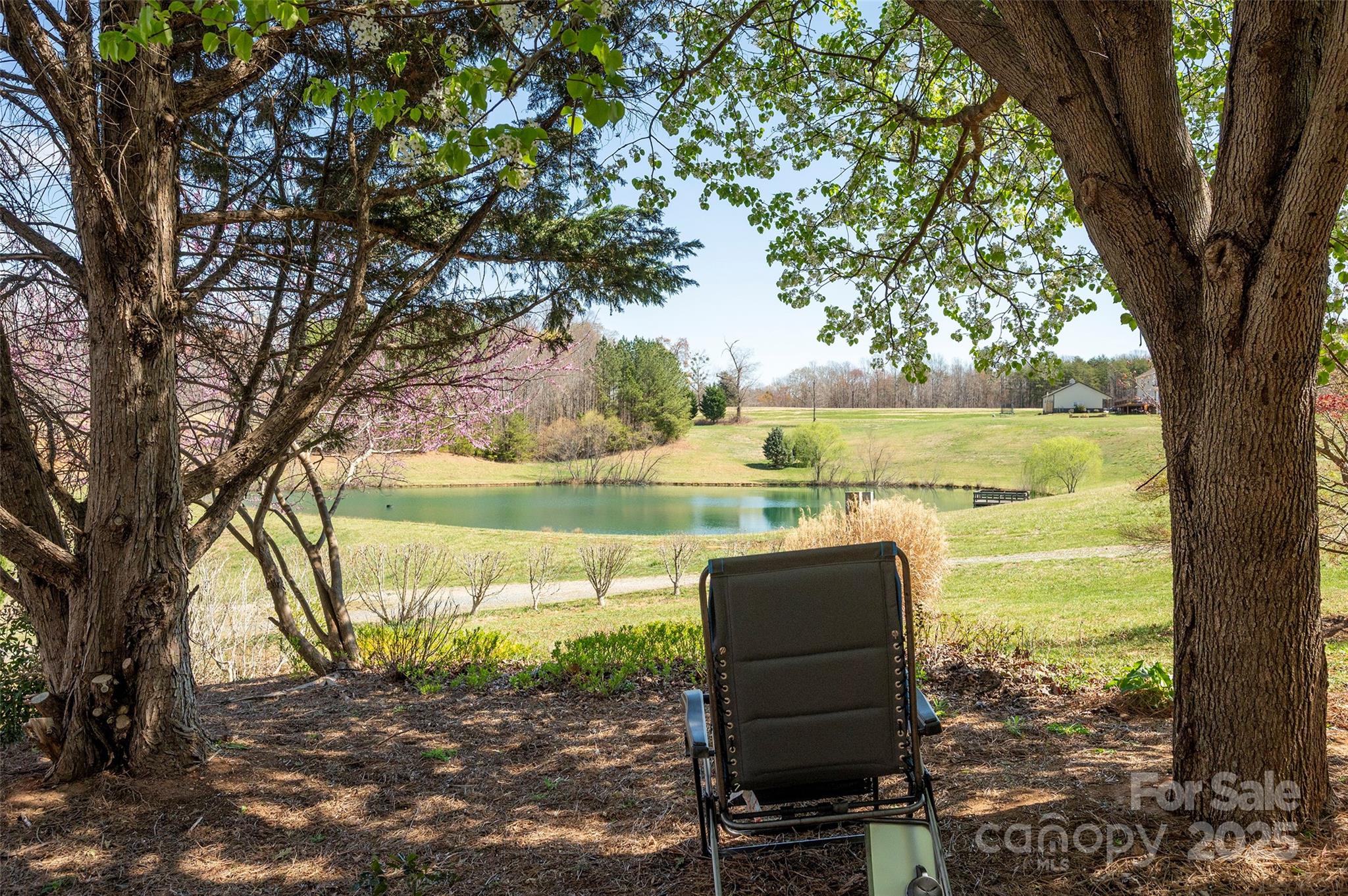 1120 Fred Merritt Road King, NC 27021 - Photo 7 of 45 a view of a lake with a yard