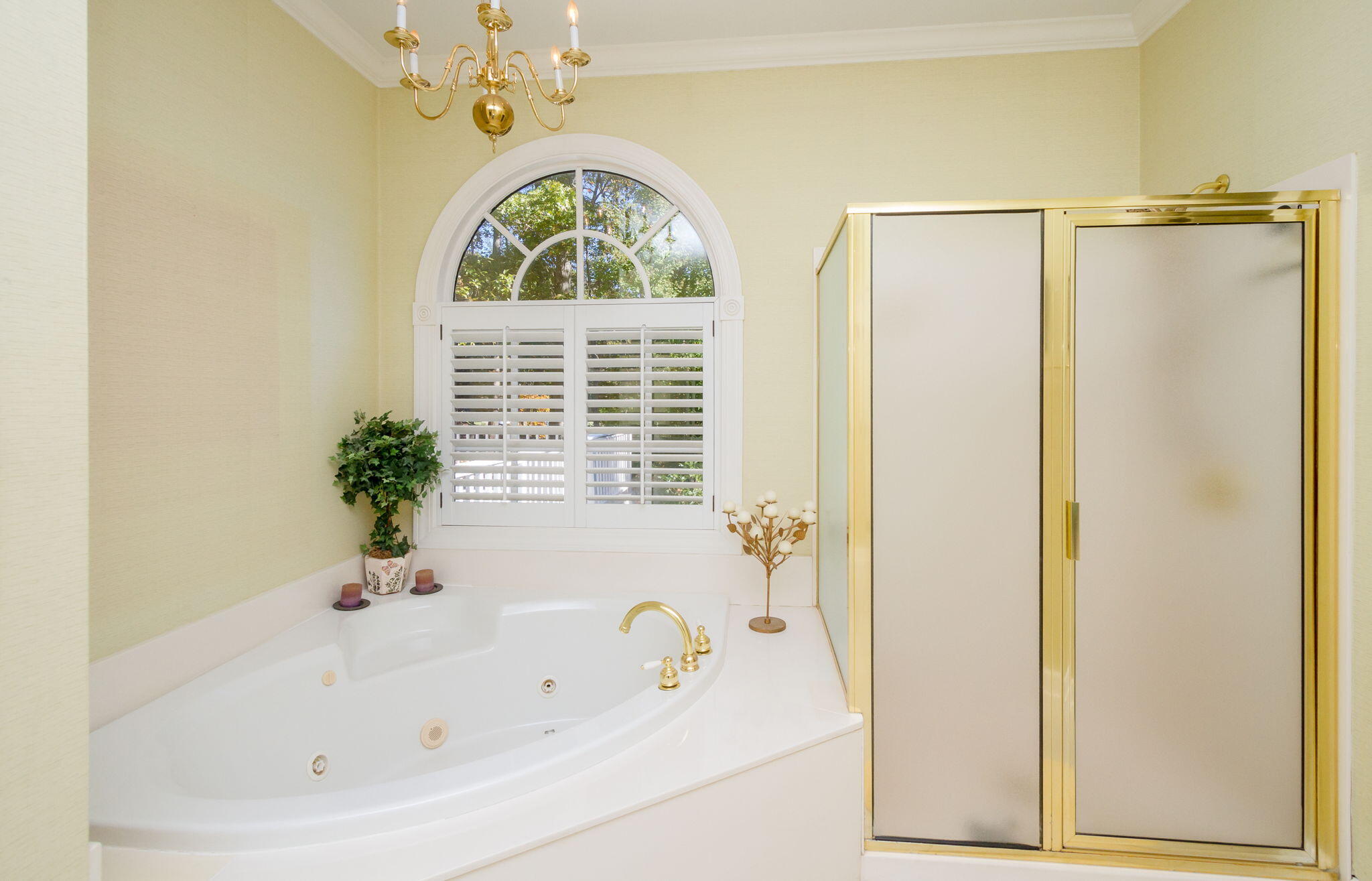 124 Sugarberry Road Aiken, SC 29803 - Photo 33 of 62