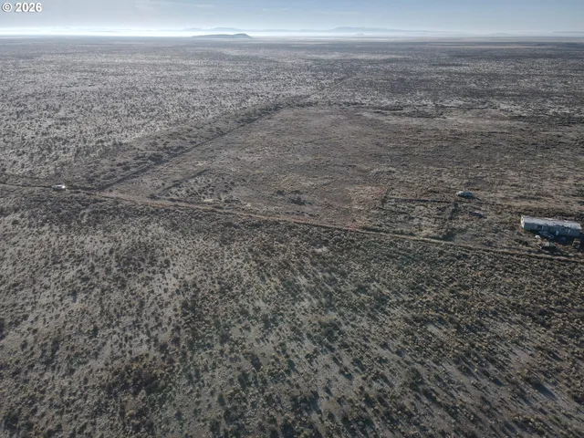 a view of a dry yard with wooden floor