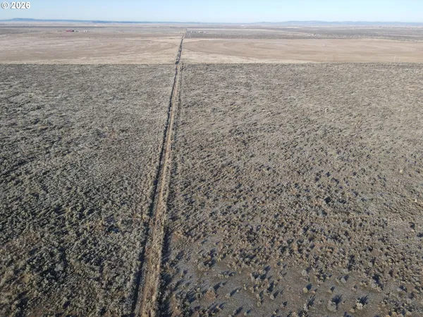 a view of a dry yard with wooden floor and bench