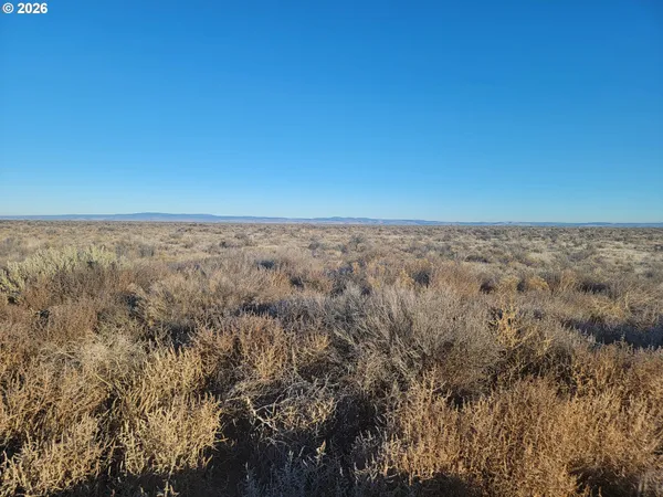 a view of an ocean beach