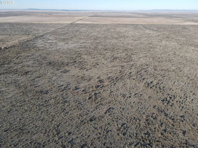 a view of beach and ocean