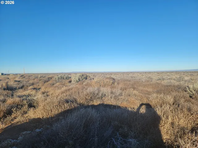 a view of an ocean beach