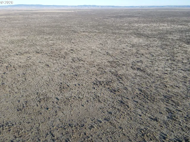a view of beach and an ocean