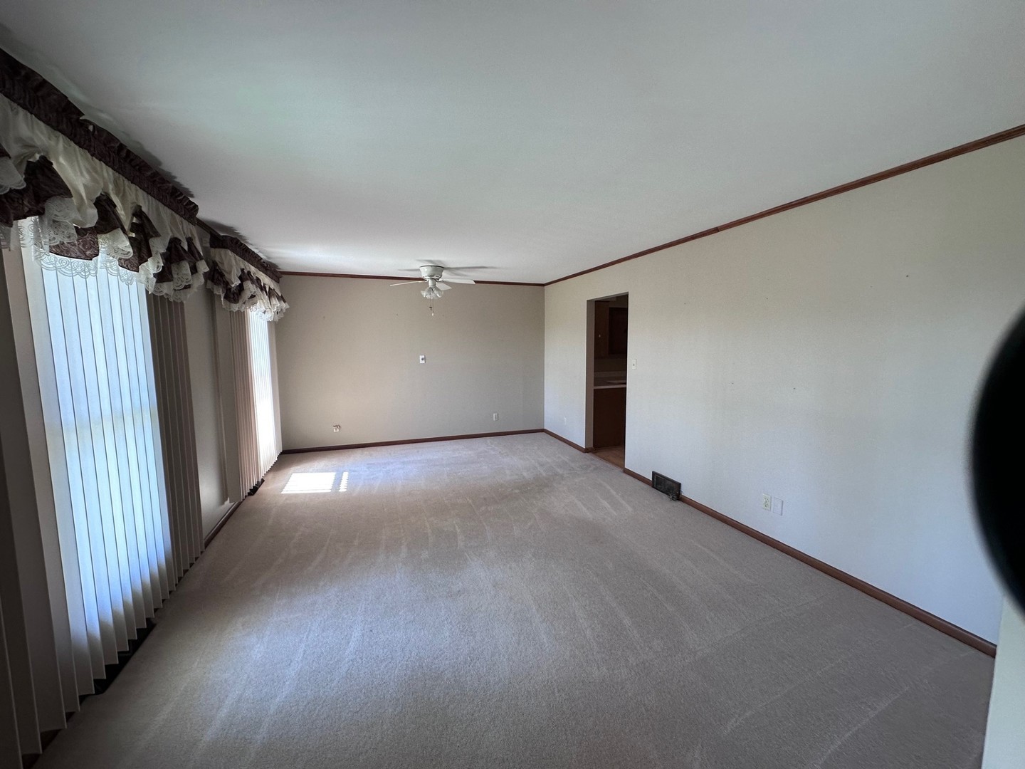321 East Elm Street Piper City, IL 60959 - Photo 3 of 24
