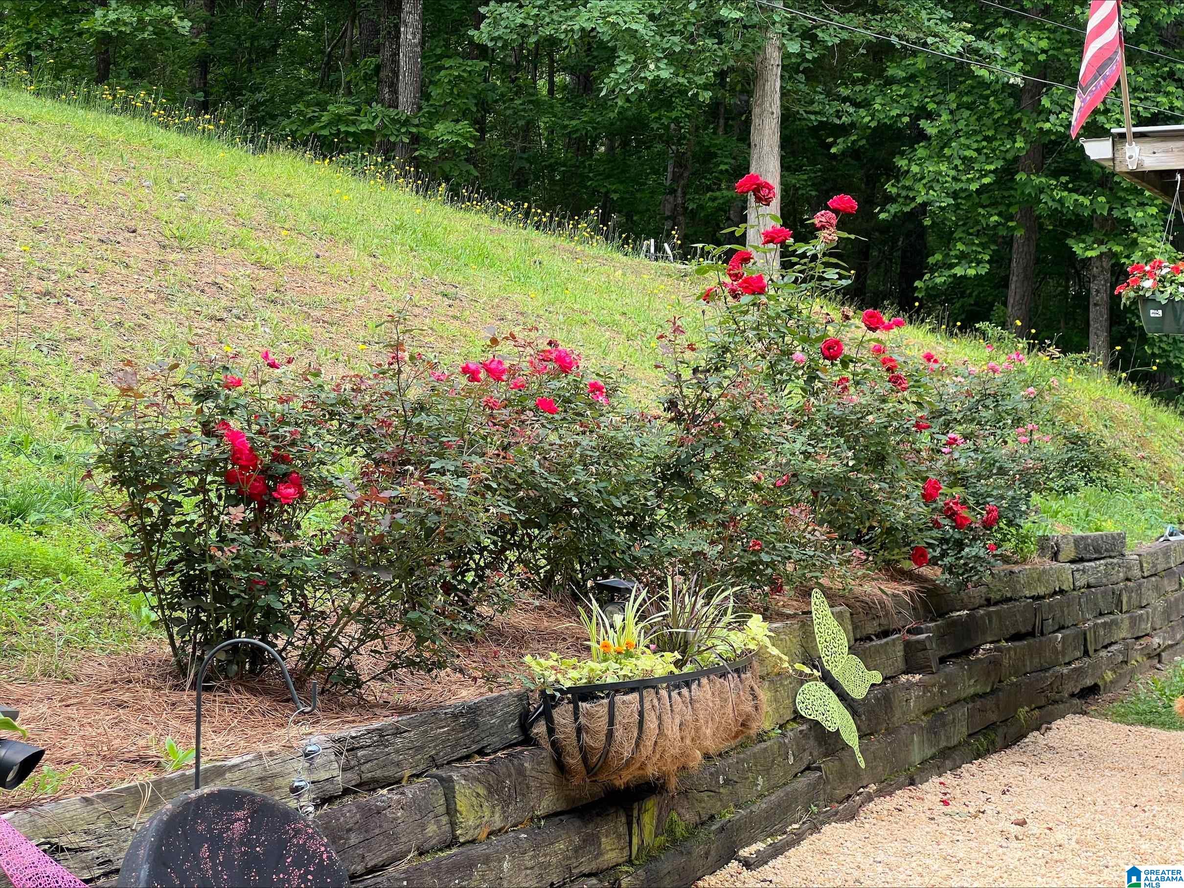 9647 Camp Oliver Road Adger, AL 35006 - Photo 4 of 40