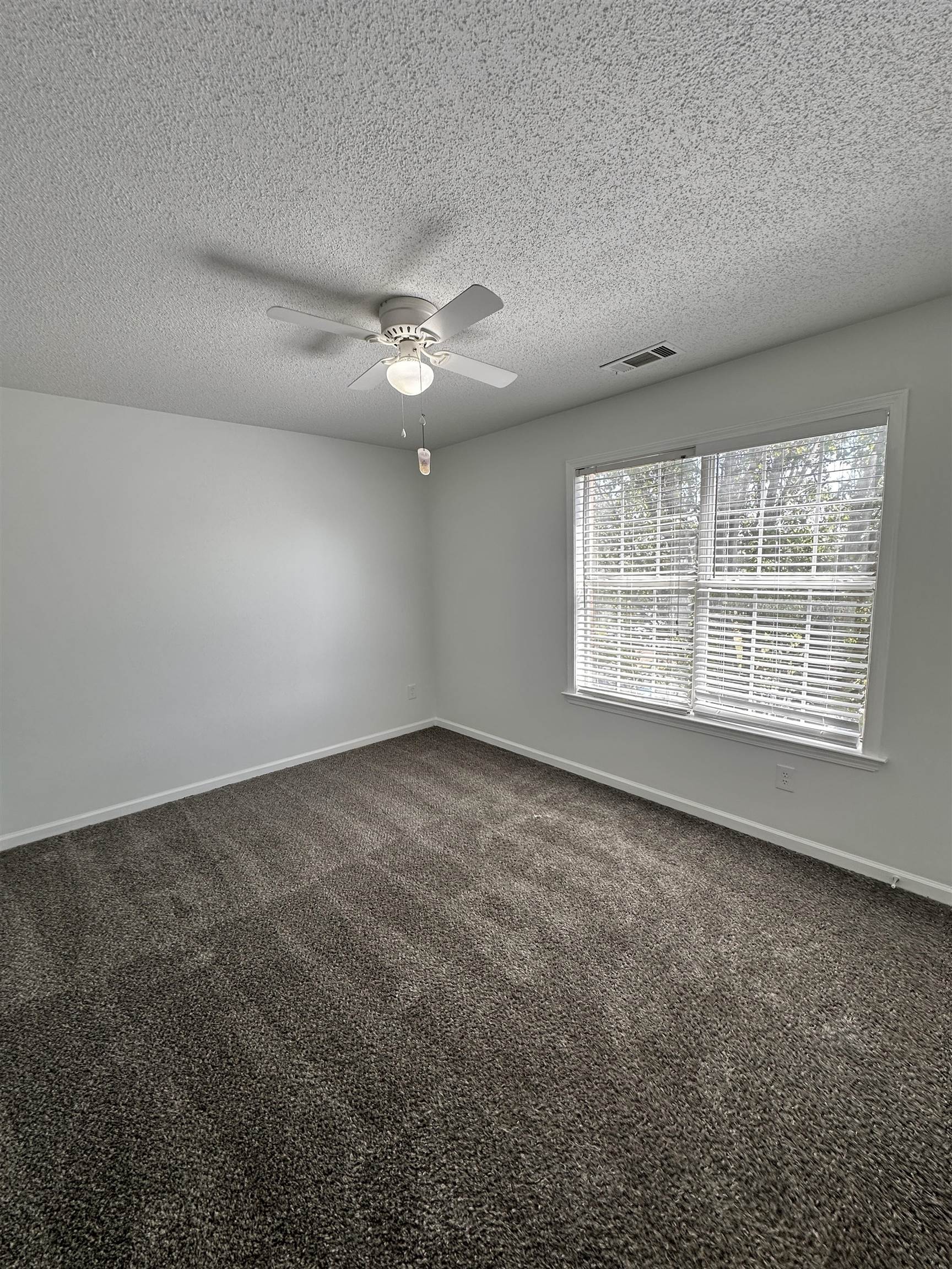 10006 Cameron Ridge Trail Memphis, TN 38016 - Photo 23 of 29 an empty room with a empty space and windows