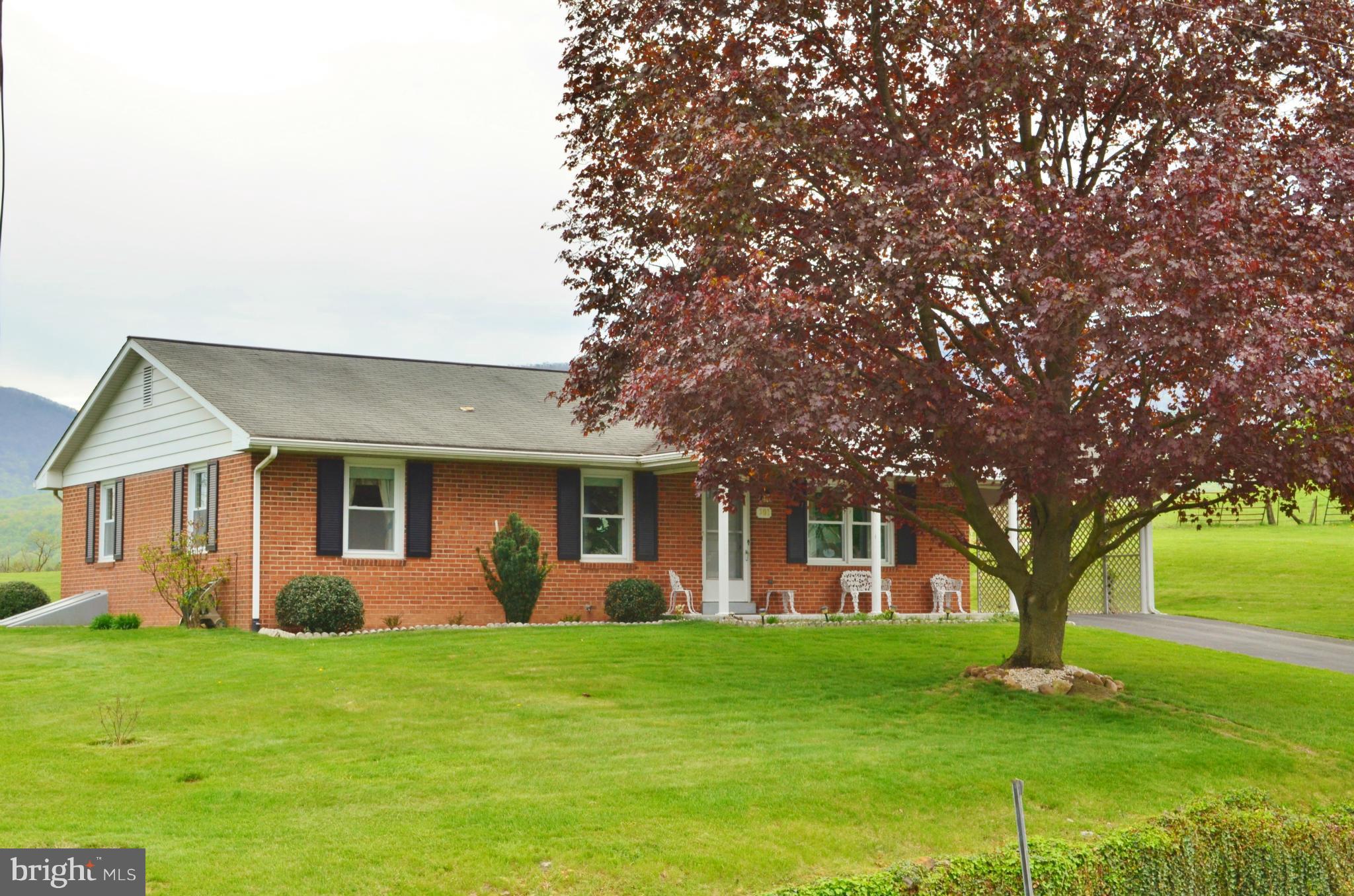 301 Palmyra Road Edinburg, VA 22824 - Photo 2 of 30 Exterior (Front)
