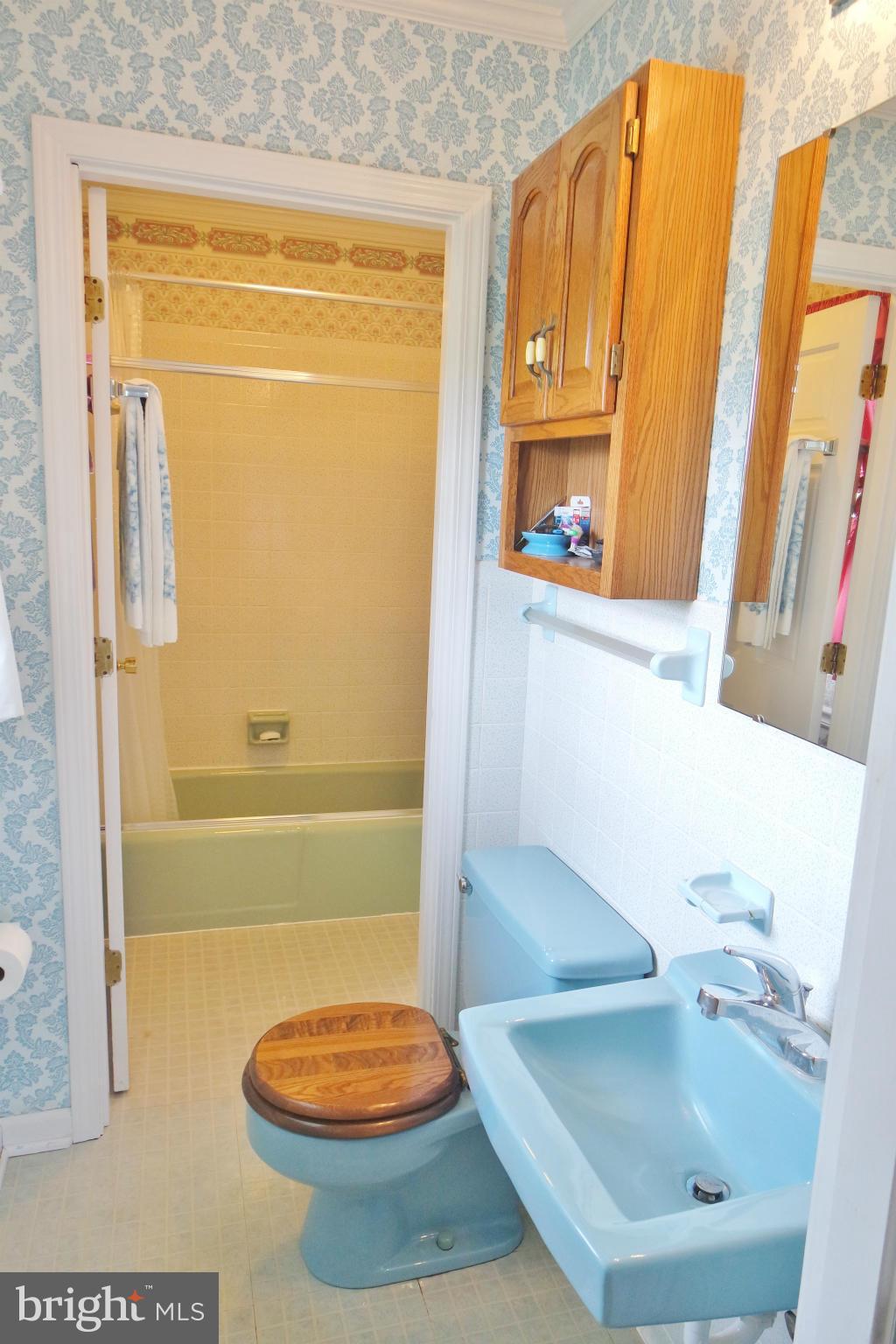 301 Palmyra Road Edinburg, VA 22824 - Photo 23 of 30 Bath - Half - w/ Access to Full Bath and Master