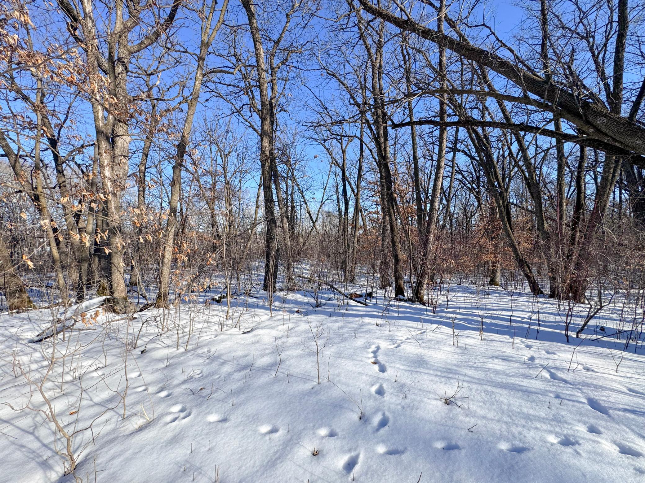 Xxxxx German Lake Road Underwood, MN 56586 - Photo 13 of 16