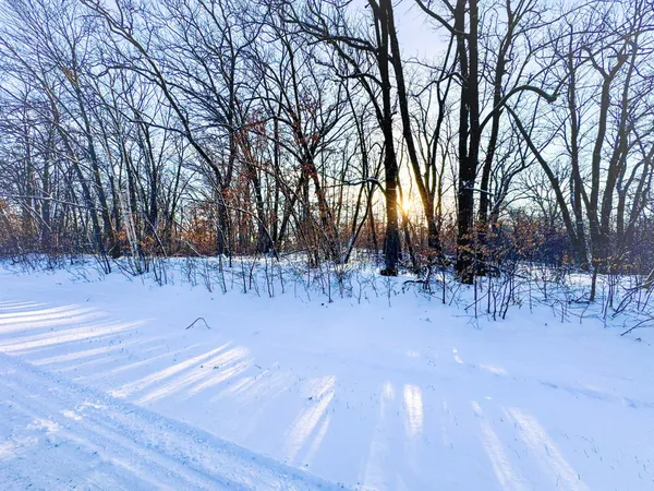 $35,000 | Xxxxx German Lake Road, Underwood, MN 56586