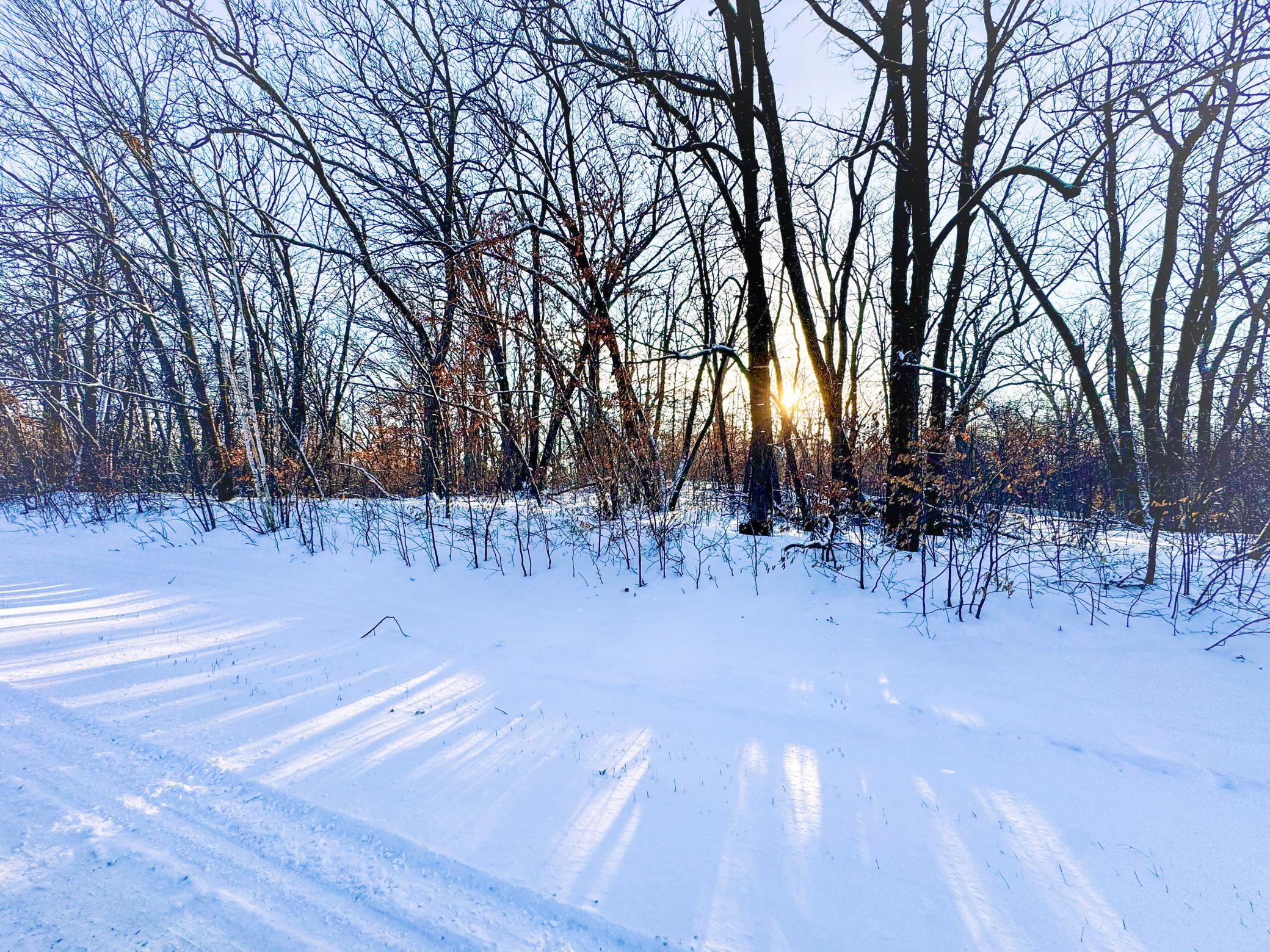 Xxxxx German Lake Road Underwood, MN 56586 - Photo 3 of 16