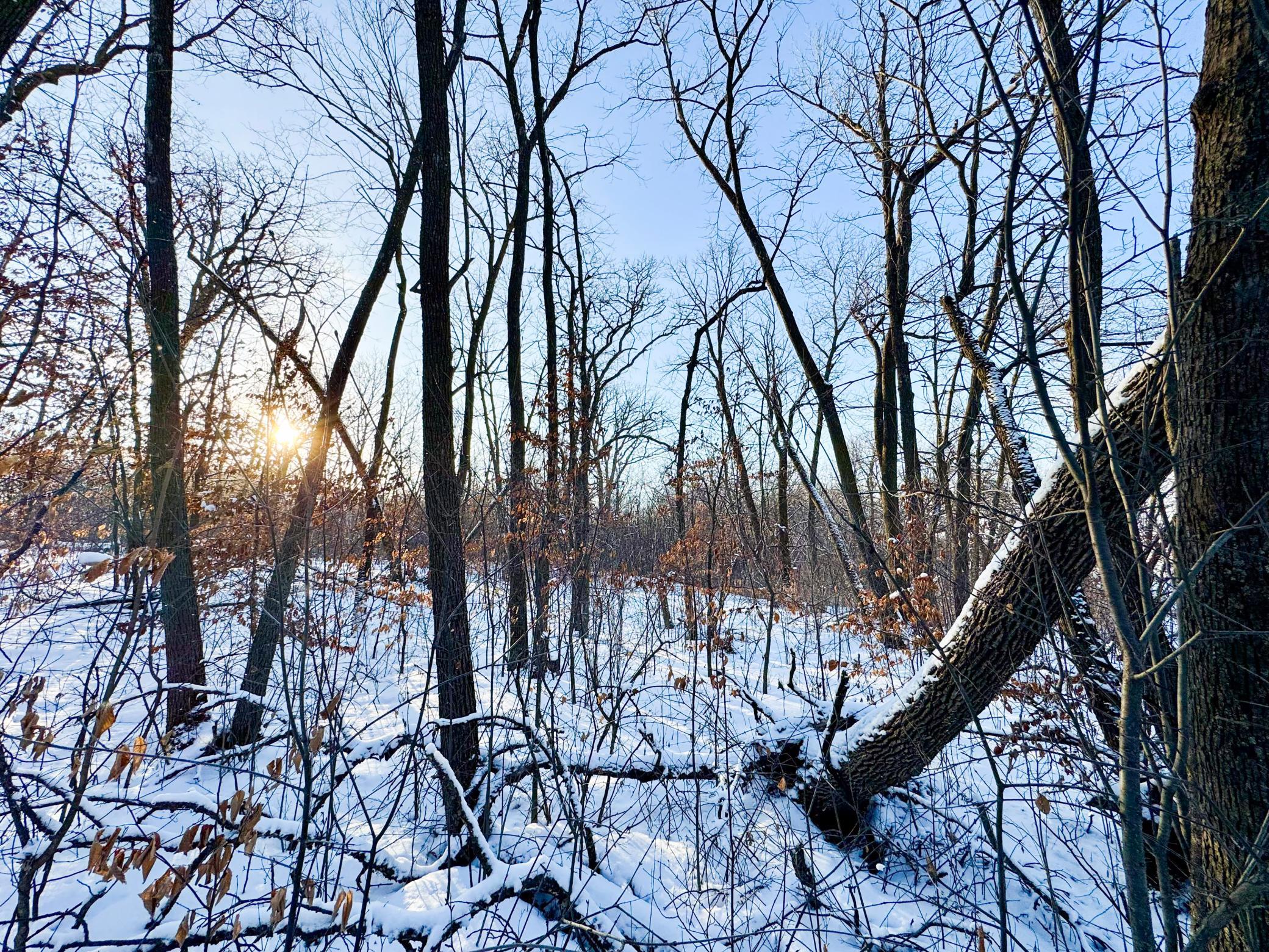 Xxxxx German Lake Road Underwood, MN 56586 - Photo 5 of 16