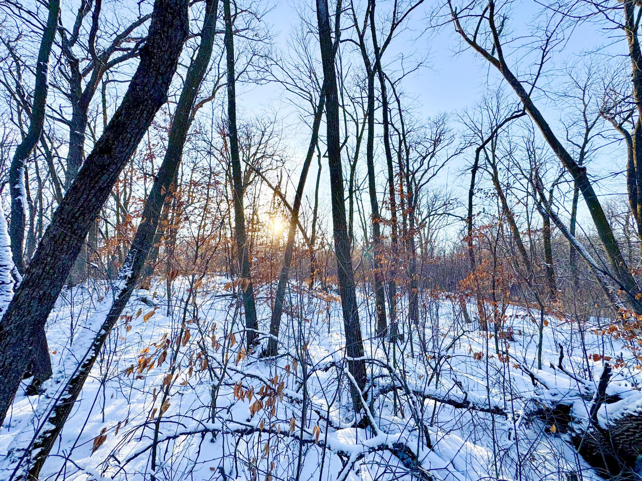 Xxxxx German Lake Road Underwood, MN 56586 - Photo 8 of 16