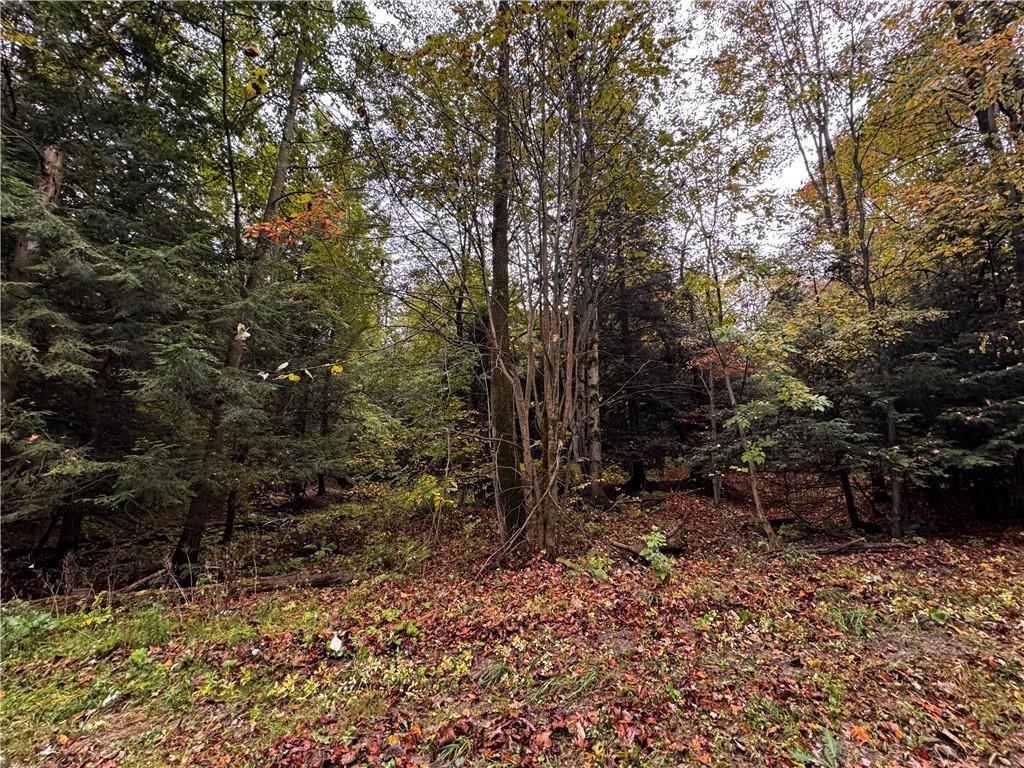 Lot 1 Dobbs Road Athens, PA 16438 - Photo 4 of 10 Gallery Image 4