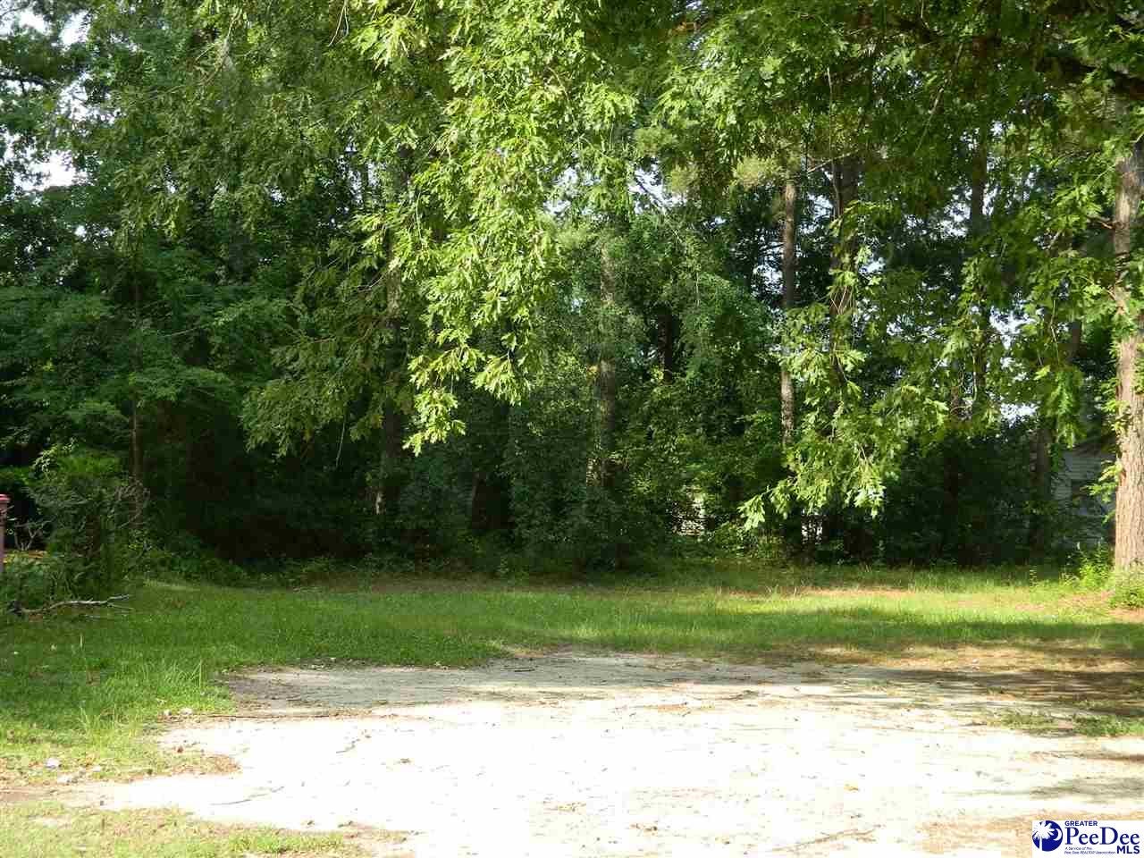 904 Georgetown Street Marion, SC 29571 - Photo 1 of 1 Gallery Image 1
