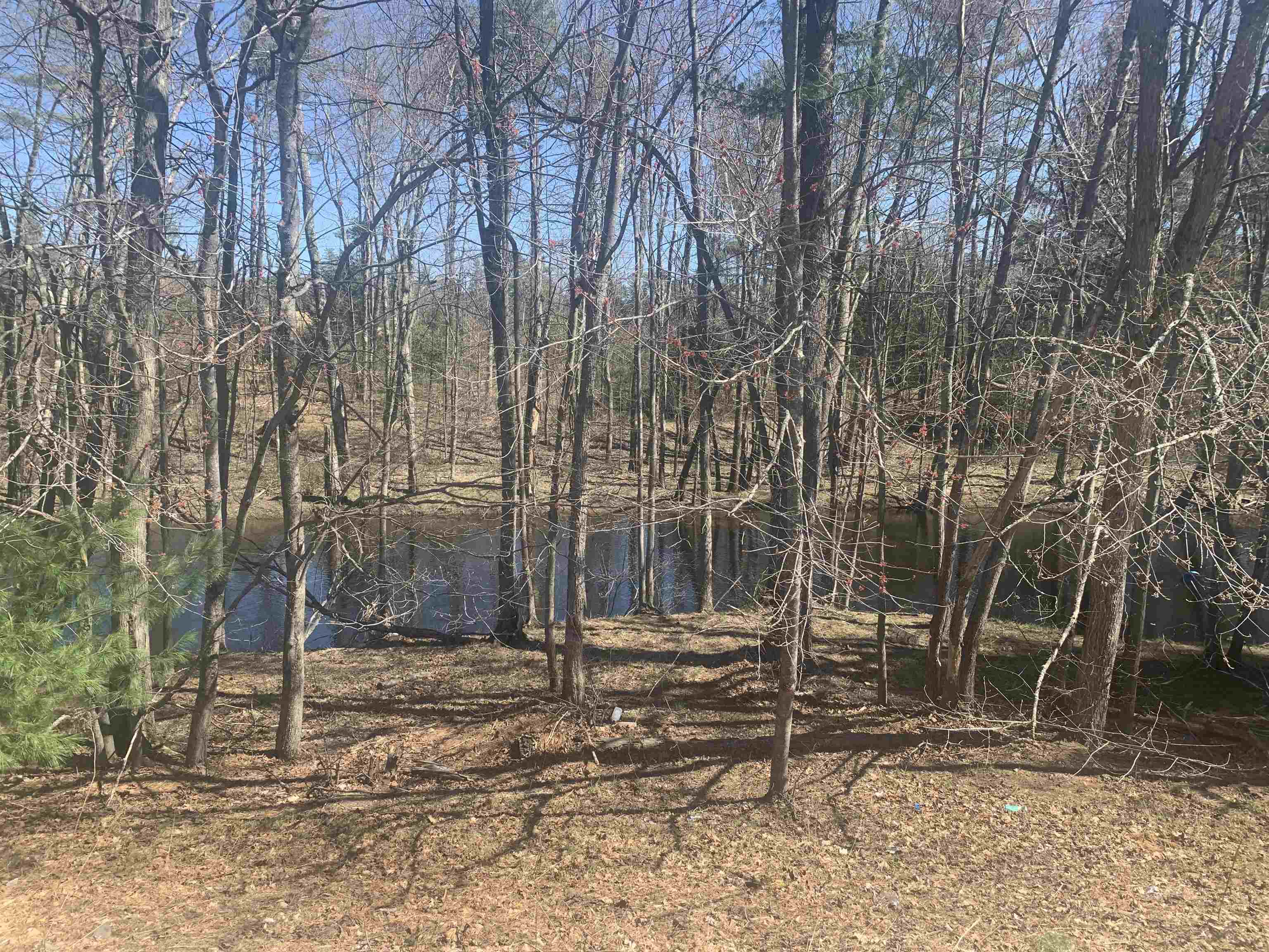 148 Daffodil Hill Lane Rochester, NH 03868 - Photo 3 of 32