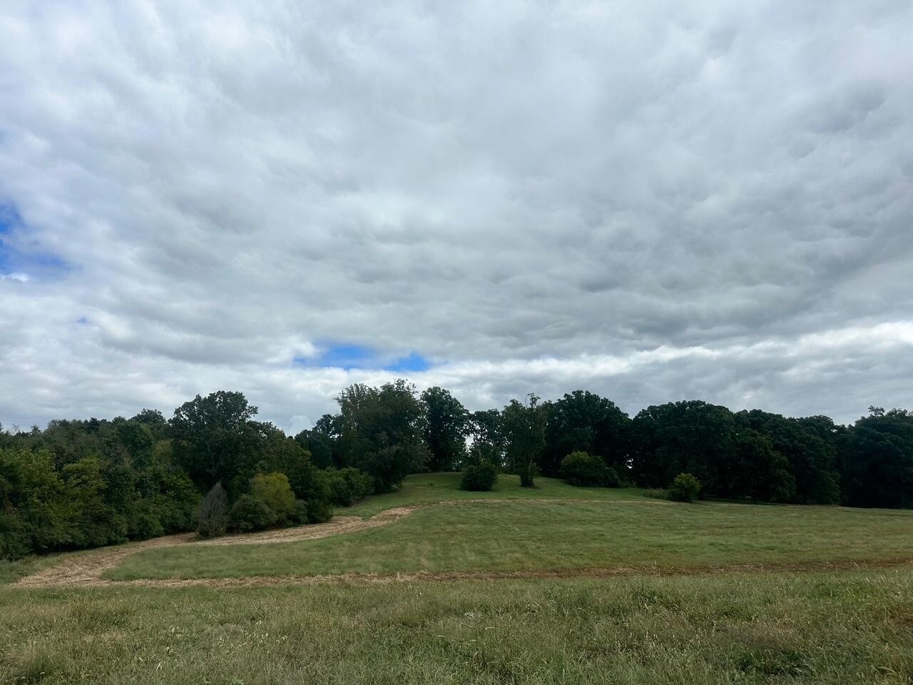 9 Chatata Valley Road Northeast Cleveland, TN 37323 - Photo 5 of 13 Gallery Image 5