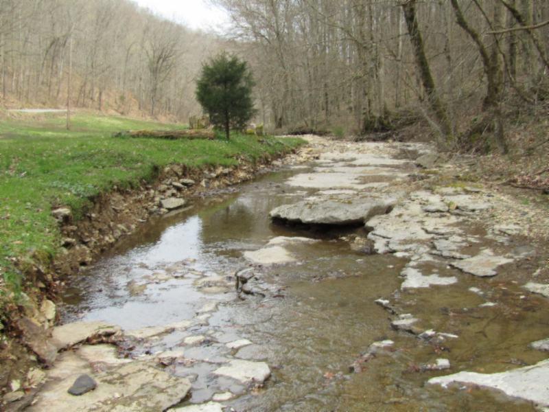 43.74-ac Arcot Road Celina, TN 38551 - Photo 1 of 35 creek best - Copy - Copy - Copy