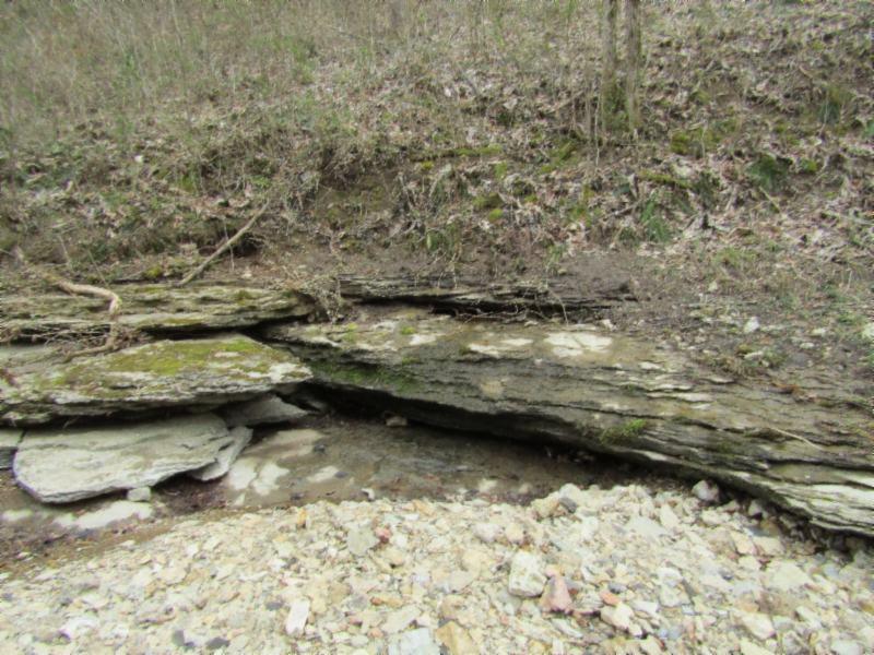 43.74-ac Arcot Road Celina, TN 38551 - Photo 14 of 35 KNOB CREEK & ARCOT RD MARTZ 032 - Copy -