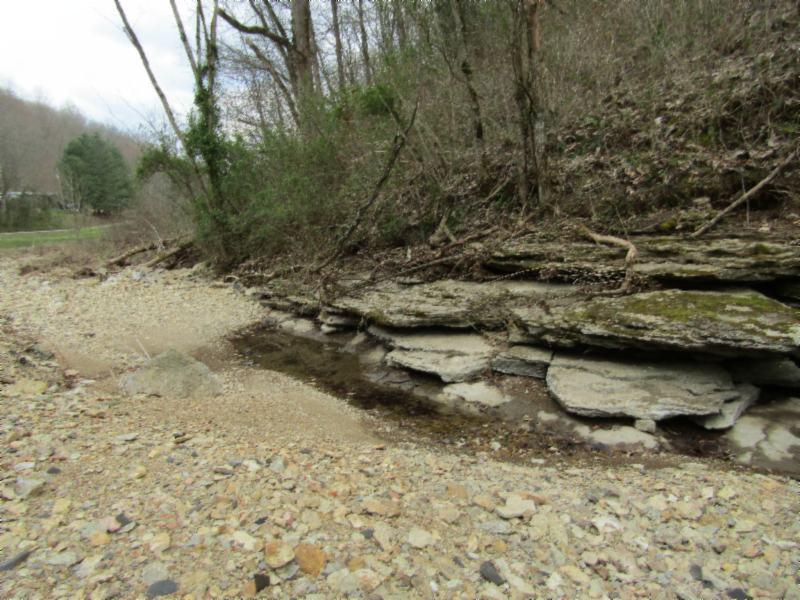 43.74-ac Arcot Road Celina, TN 38551 - Photo 15 of 35 KNOB CREEK & ARCOT RD MARTZ 033 - Copy -