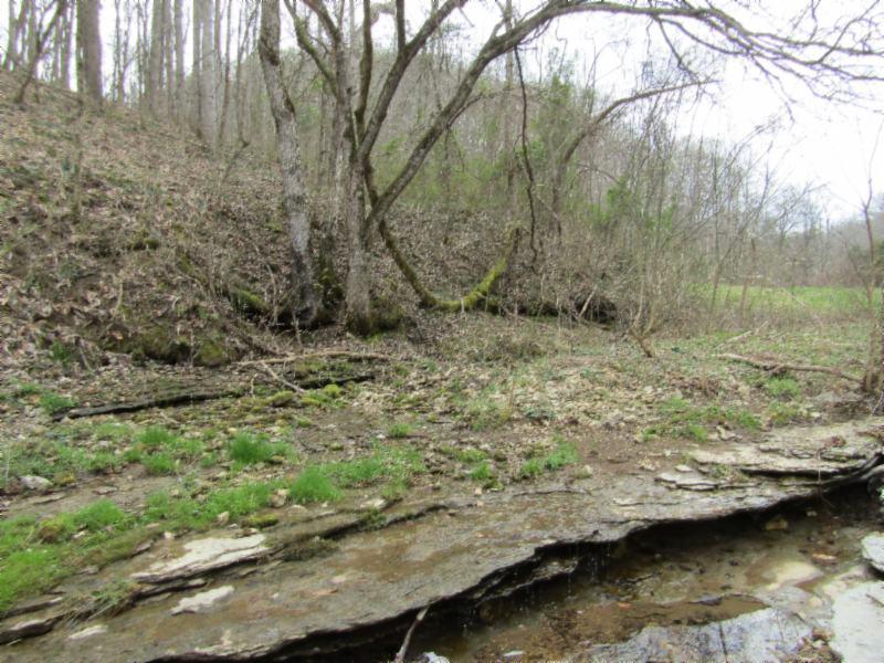 43.74-ac Arcot Road Celina, TN 38551 - Photo 16 of 35 KNOB CREEK & ARCOT RD MARTZ 035 - Copy -