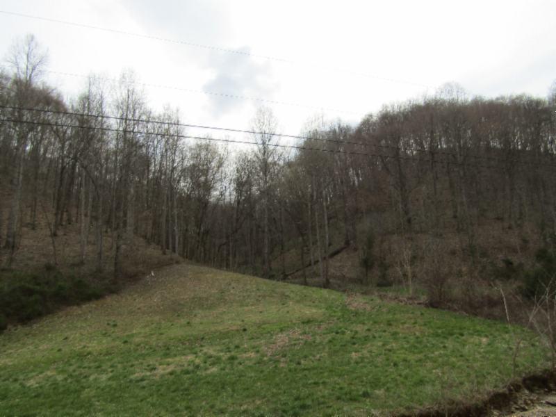 43.74-ac Arcot Road Celina, TN 38551 - Photo 19 of 35 KNOB CREEK & ARCOT RD MARTZ 042 - Copy -