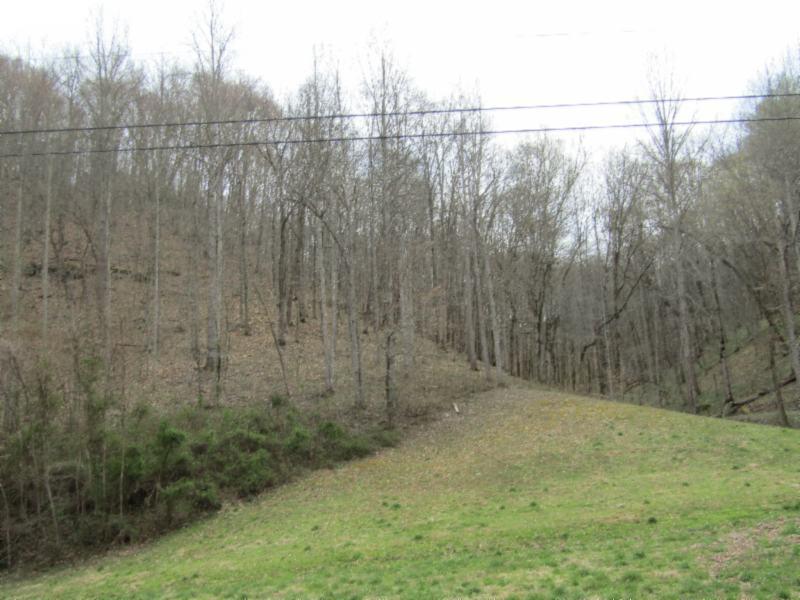 43.74-ac Arcot Road Celina, TN 38551 - Photo 20 of 35 KNOB CREEK & ARCOT RD MARTZ 044 - Copy -