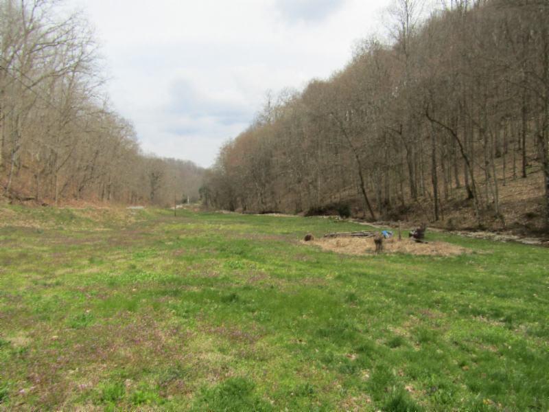 43.74-ac Arcot Road Celina, TN 38551 - Photo 3 of 35 KNOB CREEK & ARCOT RD MARTZ 003 - Copy -