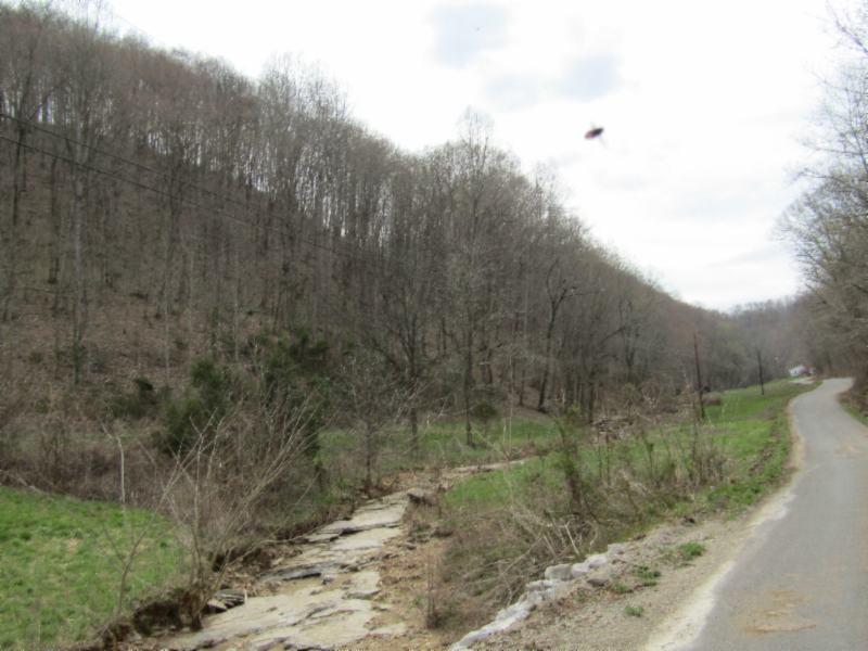 43.74-ac Arcot Road Celina, TN 38551 - Photo 21 of 35 KNOB CREEK & ARCOT RD MARTZ 045 - Copy -