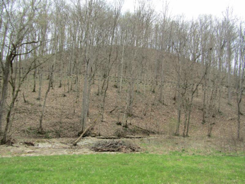 43.74-ac Arcot Road Celina, TN 38551 - Photo 22 of 35 KNOB CREEK & ARCOT RD MARTZ 048 - Copy